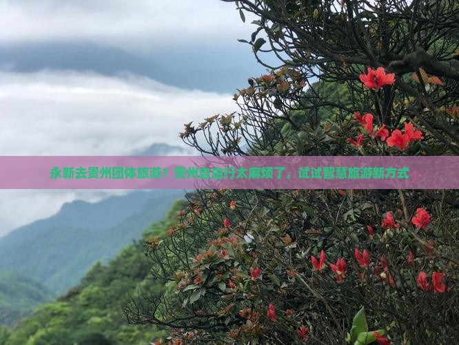 永新去贵州团体旅游