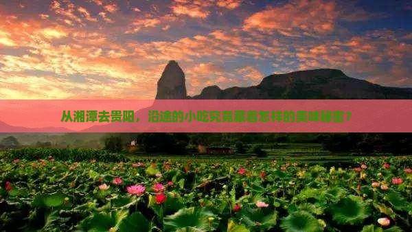 湘潭到贵州贵阳旅游小吃