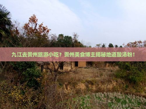 九江去贵州旅游小吃
