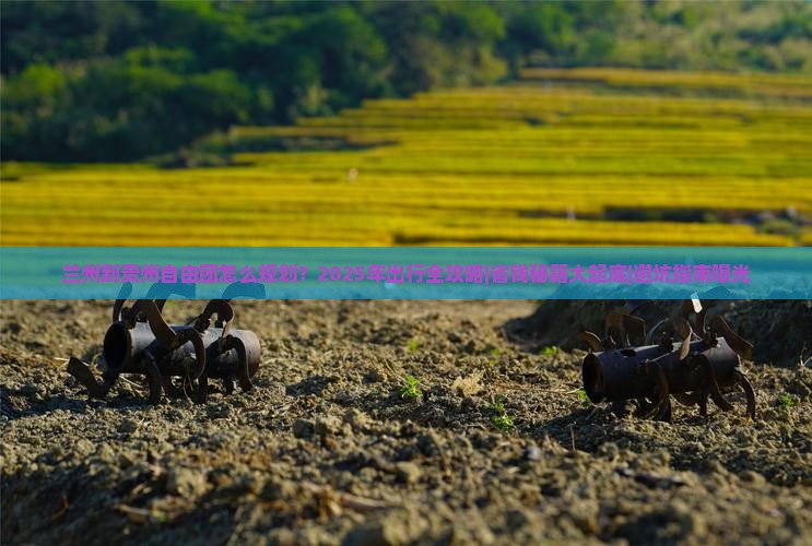 兰州到贵州自由团