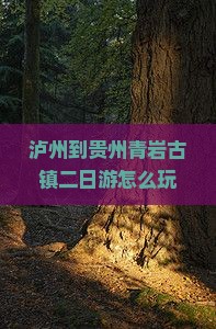 泸州到贵州青岩古镇二日游
