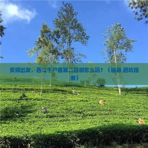 安顺到贵州西江千户苗寨二日游