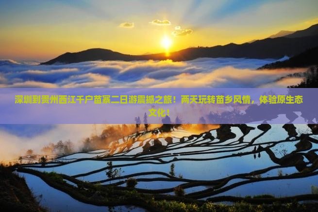 深圳到贵州西江千户苗寨二日游