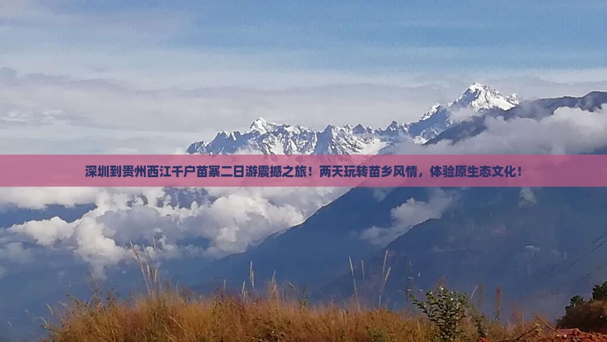 深圳到贵州西江千户苗寨二日游