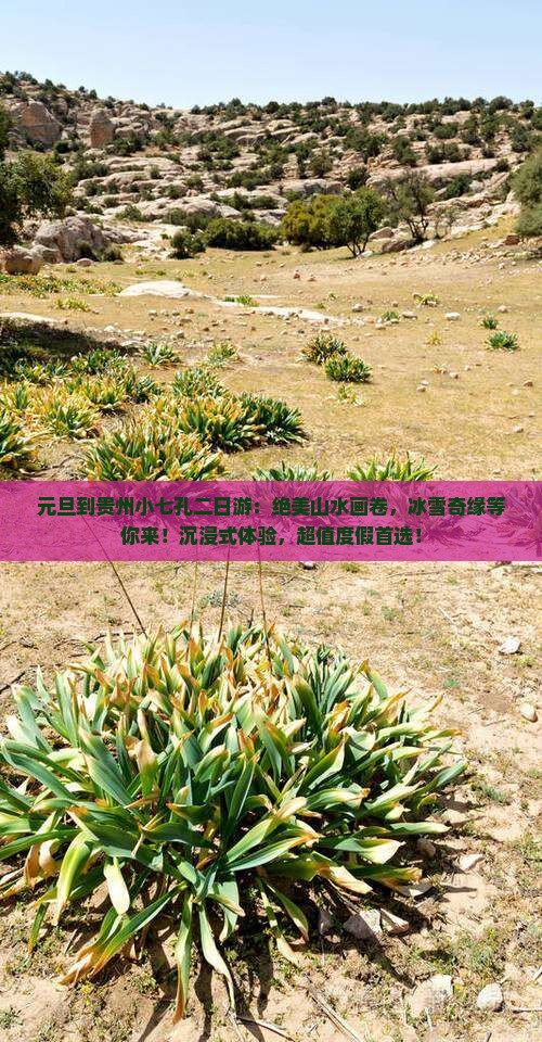 元旦到贵州小七孔二日游