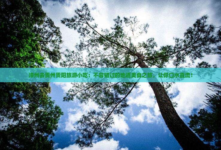 漳州去贵州贵阳旅游小吃 漳州去贵州贵阳旅游小吃
