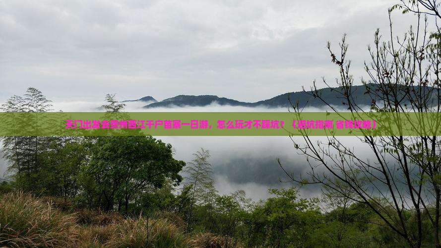 天门去贵州西江千户苗寨一日