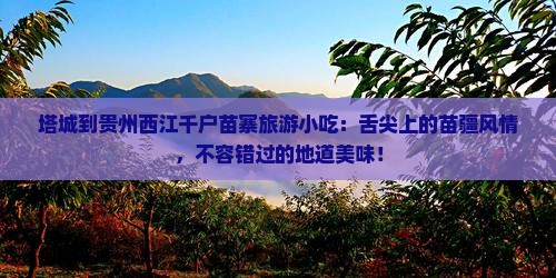 塔城到贵州西江千户苗寨旅游小吃