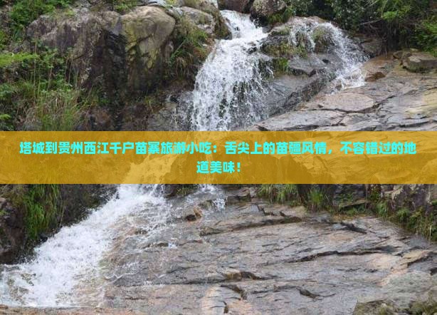 塔城到贵州西江千户苗寨旅游小吃