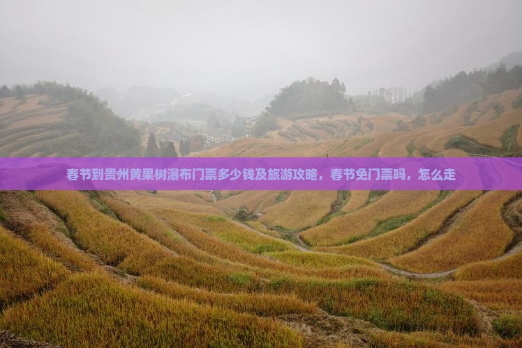 春节到贵州黄果树瀑布门票