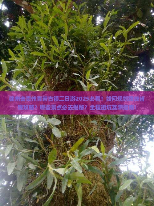 徐州去贵州青岩古镇二日游