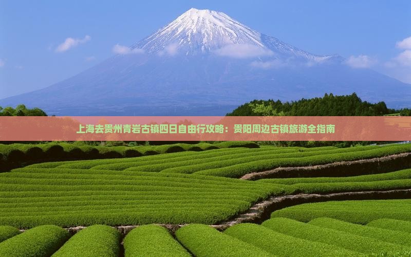 上海去贵州青岩古镇四日游