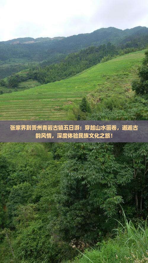 张家界到贵州青岩古镇五日游