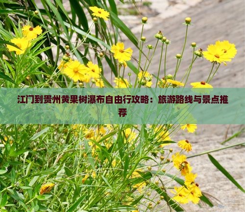 江门到贵州黄果树瀑布自由行