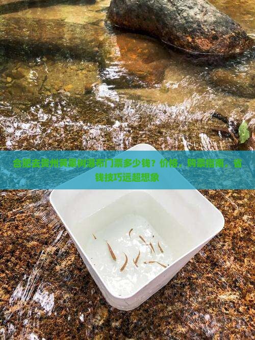 合肥去贵州黄果树瀑布门票