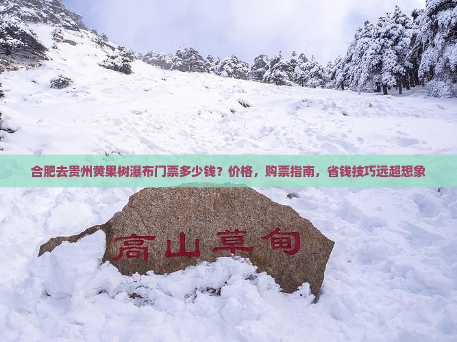 合肥去贵州黄果树瀑布门票