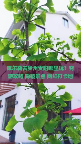 库尔勒去贵州贵阳哪里玩