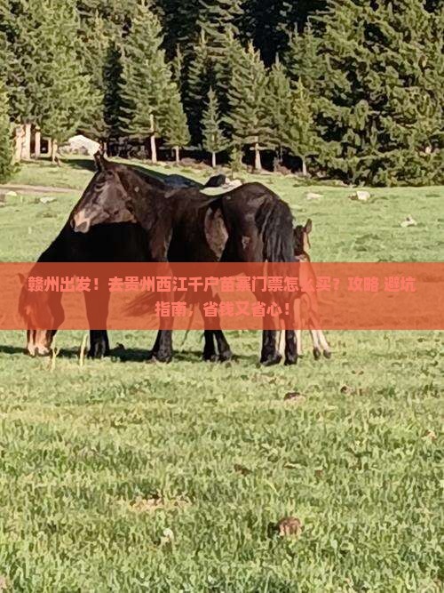 赣州去贵州西江千户苗寨门票
