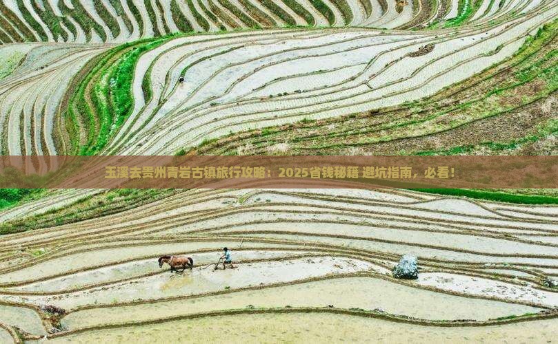 玉溪到贵州青岩古镇旅行社