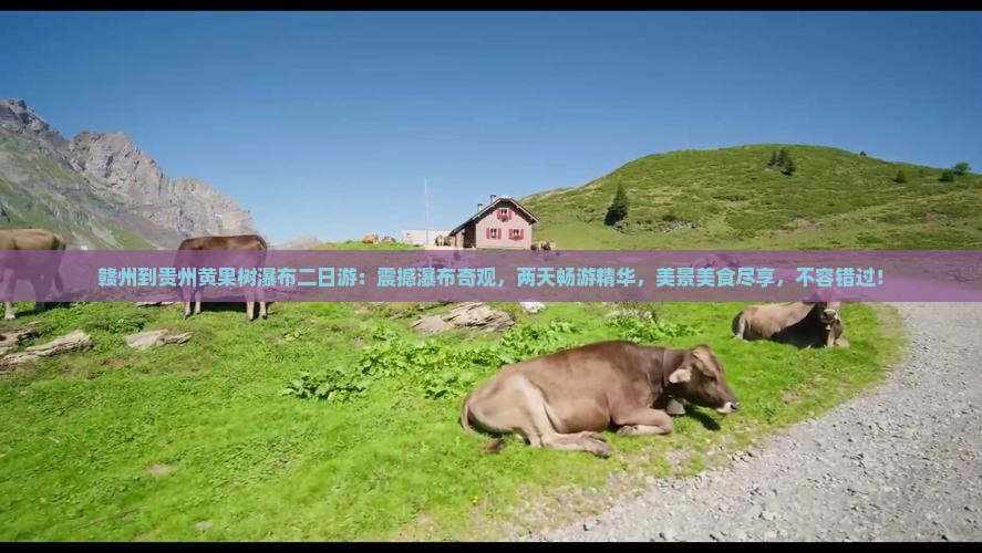 赣州到贵州黄果树瀑布二日游