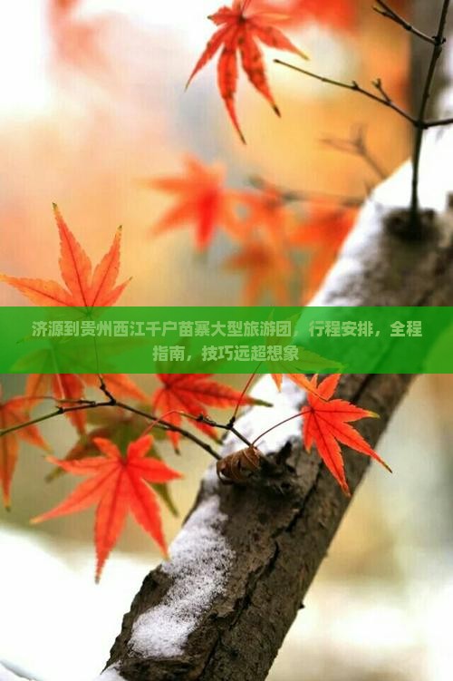 济源到贵州西江千户苗寨大型旅游团