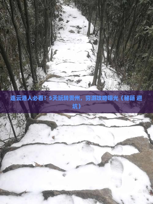 连云港去贵州五日游