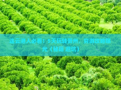 连云港去贵州五日游