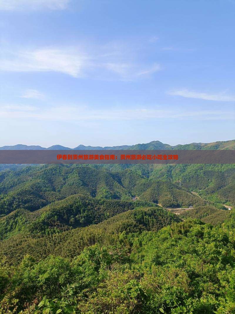 伊春到贵州旅游小吃