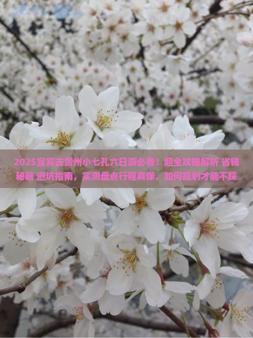宜宾去贵州小七孔六日游