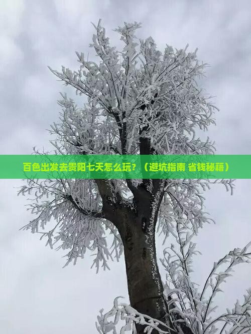 百色去贵州贵阳七日游