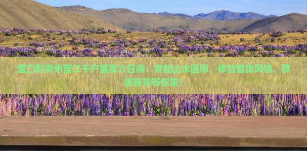 营口到贵州西江千户苗寨六日游