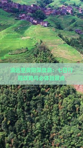 清远至贵阳深度游：七日行程攻略与必体验景点