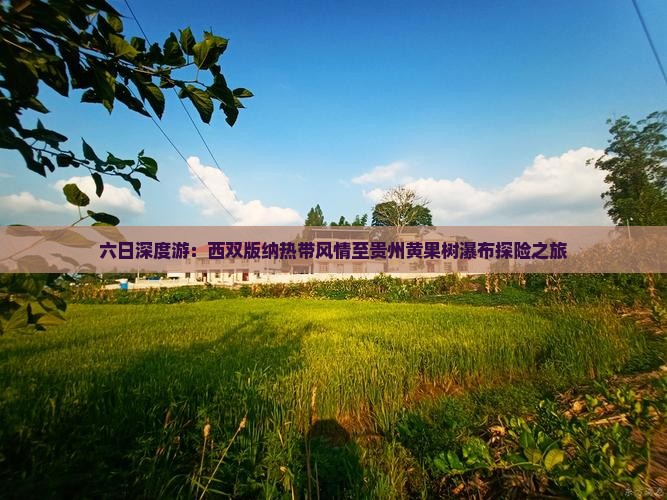 六日深度游：西双版纳热带风情至贵州黄果树瀑布探险之旅