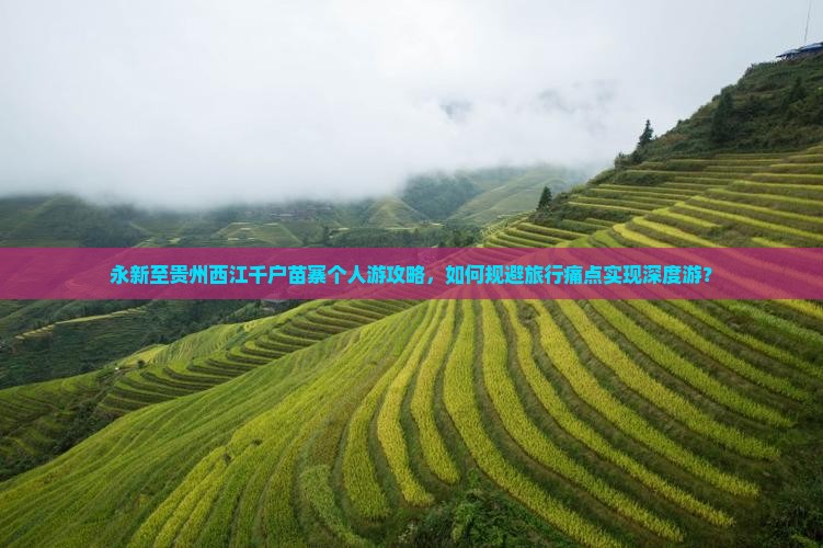 永新到贵州西江千户苗寨个人游
