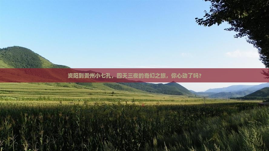 资阳去贵州小七孔四日游