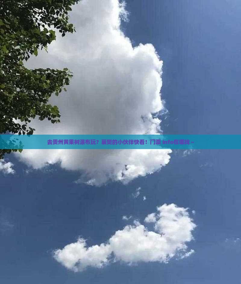 襄樊去贵州黄果树瀑布门票