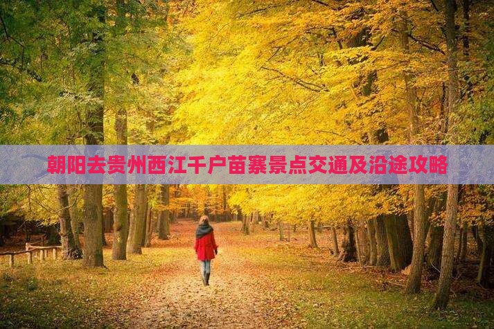 朝阳去贵州西江千户苗寨景点