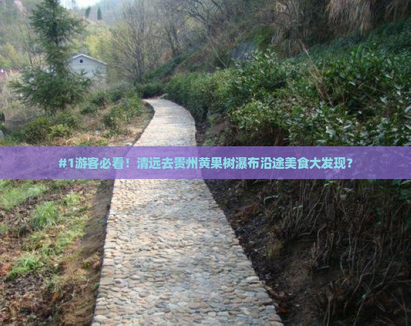 清远到贵州黄果树瀑布旅游小吃