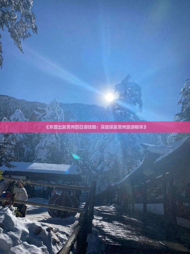 东营去贵州四日游