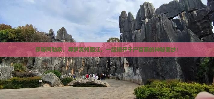 阿勒泰到贵州西江千户苗寨团体旅游