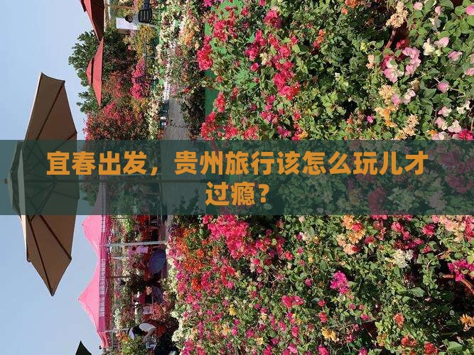 宜春去贵州哪里玩