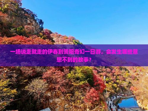 伊春去贵州贵阳一日