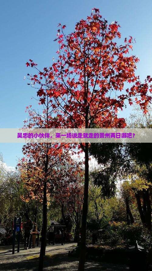 吴忠去贵州二日游
