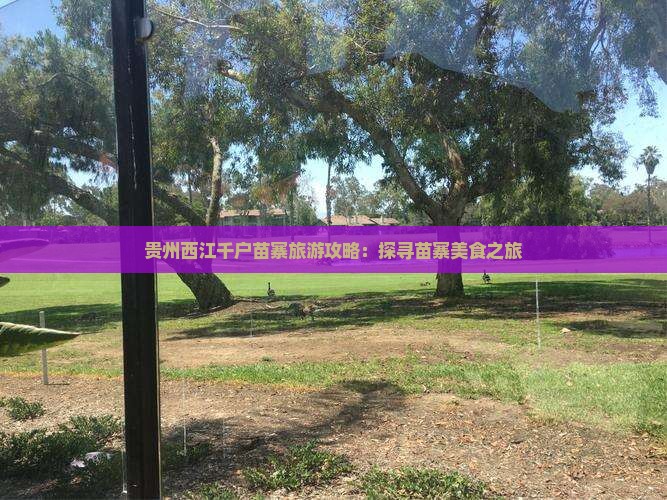萍乡去贵州西江千户苗寨旅游小吃 萍乡去贵州西江千户苗寨旅游小吃