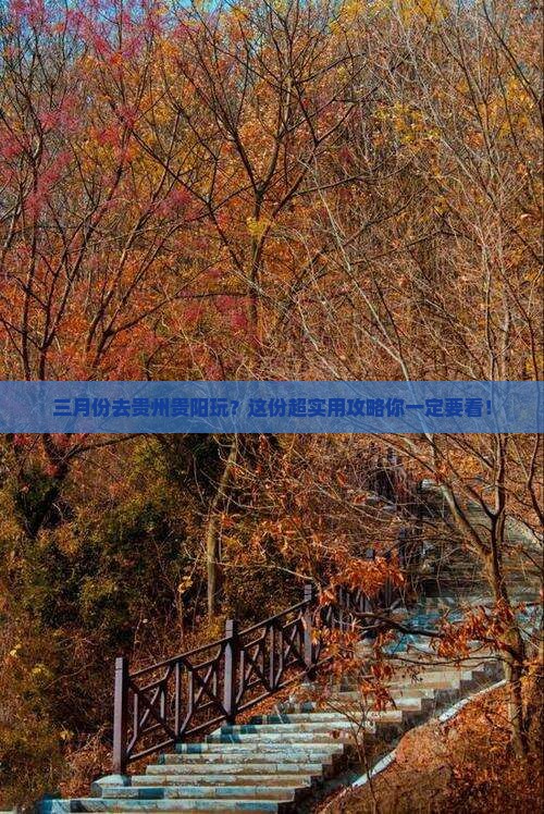 三月去贵州贵阳攻略