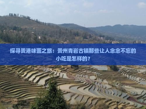 贵港去贵州青岩古镇旅游小吃