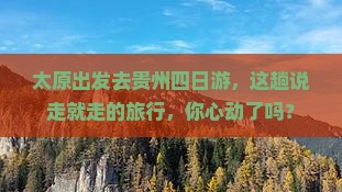太原去贵州四日游
