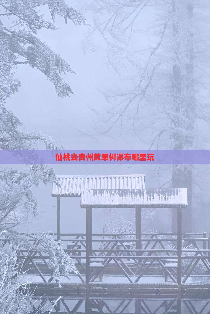 仙桃去贵州黄果树瀑布哪里玩