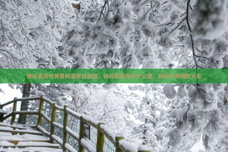 铁岭去贵州黄果树瀑布自由团