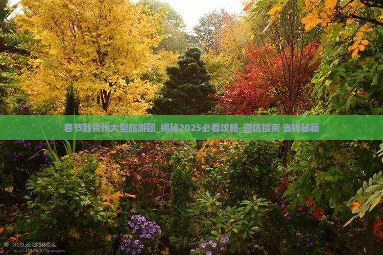 春节到贵州大型旅游团